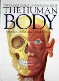 Human Body