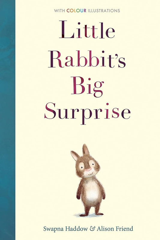 Little Rabbit's Big Surprise (Colour Fiction) cover image